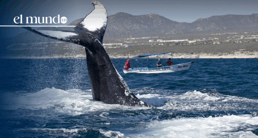 lugares Baja California 2026