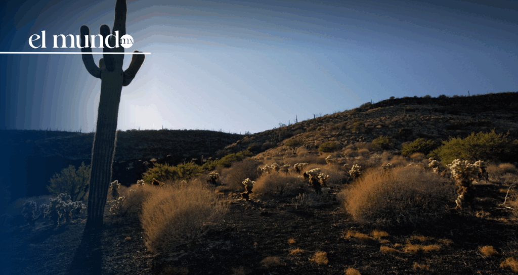 Lugares turísticos: ¿qué hacer y visitar en Sonora, México, este 2026?