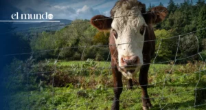 Gobierno de México fortalece el Dispositivo de Emergencia de Sanidad Animal por Gusano Barrenador