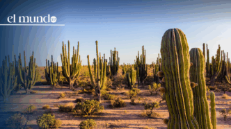 ¿Qué hacer y qué lugares turísticos debes conocer en Sonora, México, este 2026?