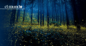 ¿Qué hacer y qué lugares turísticos visitar en Tlaxcala este 2026?