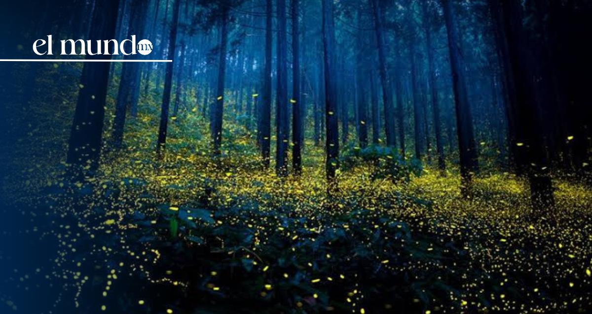 ¿Qué hacer y qué lugares turísticos visitar en Tlaxcala este 2026?